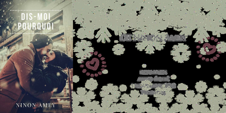 Dis-moi pourquoi ? • Ninon Amey