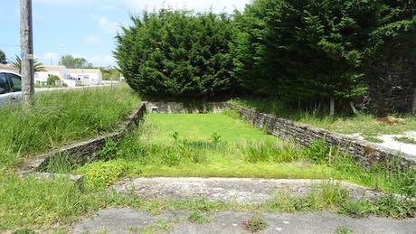 Le vieux lavoir, la grenouille et la grenouillette