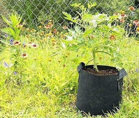 5 gallon pot 5 gallon pot plant 5 gallon outdoor grow bag fabric pot with 5 gallon ceramic plant 5 gallon pot 5 gallon drinking water jug bottle pump manual dispenser