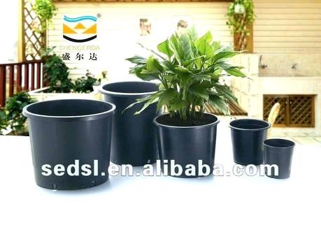 5 gallon pot 5 gallon plant pot 5 gallon plant container 5 gallon plastic pots bulk flower pots plant 5 gallon plant pot 5 gallon biab pot size