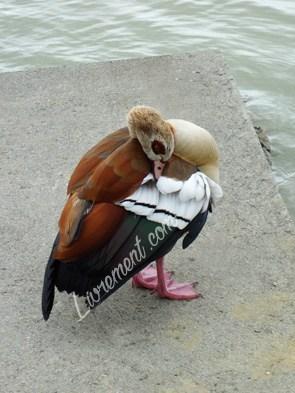 Echos & Merveilles 2019 Echos & Merveilles 2019