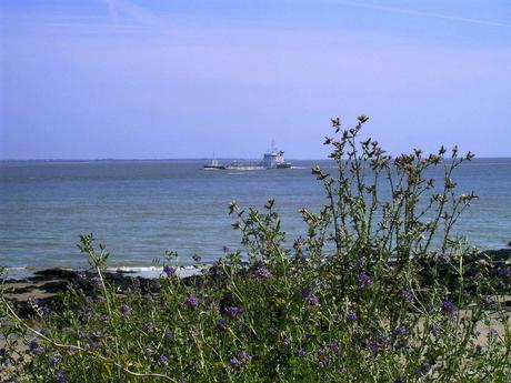 mes ptits poings rageurs