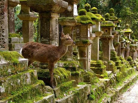 Divers - Photos superbes