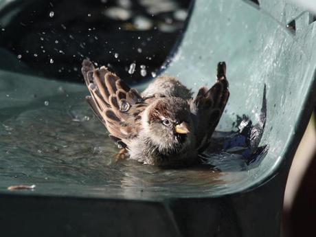 Divers - Photos superbes