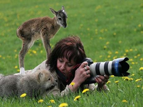 Divers - Photos superbes