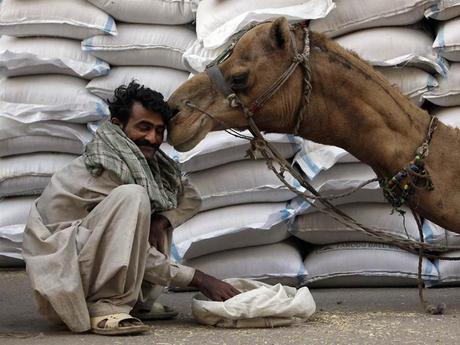 Divers - Photos superbes