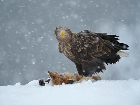 Divers - Photos superbes