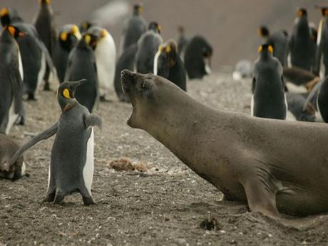 Divers - Photos superbes