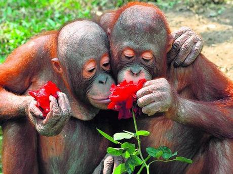 Divers - Photos superbes