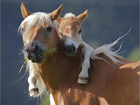 Divers - Photos superbes