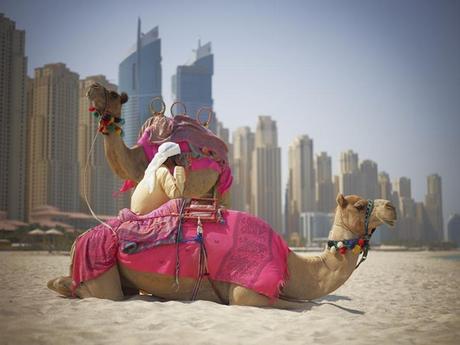 Divers - Photos superbes