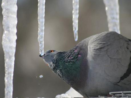 Divers - Photos superbes