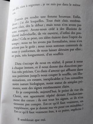 Chronique de « Sérotonine » de Michel Houellebecq