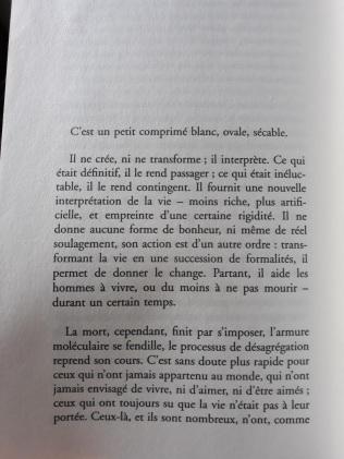 Chronique de « Sérotonine » de Michel Houellebecq