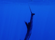 Mission Culte Pêche Mouche