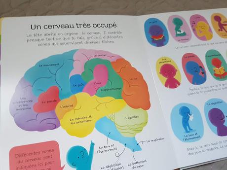 Mon premier imagier avec rabats Le temps et les saisons - Mon premier livre sur le corps humain - Nouveautés avril 2019 Editions Usborne