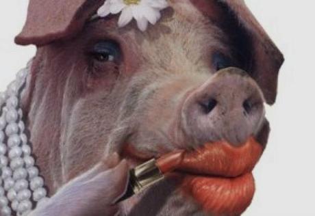 Du Rouge à Lèvres sur un Cochon