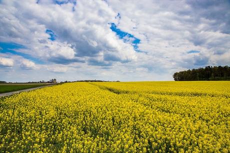 Europe libérale, il faut tourner la page.