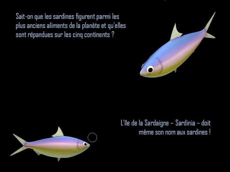 Divers - A la gloire de la Sardine