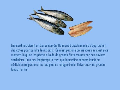 Divers - A la gloire de la Sardine