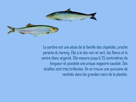Divers - A la gloire de la Sardine