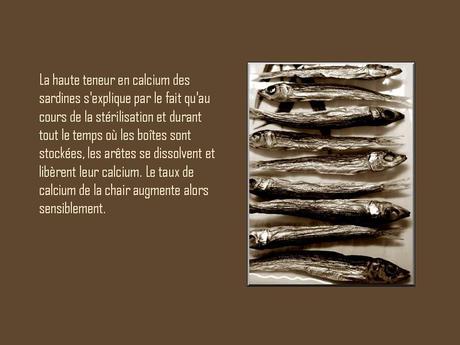 Divers - A la gloire de la Sardine