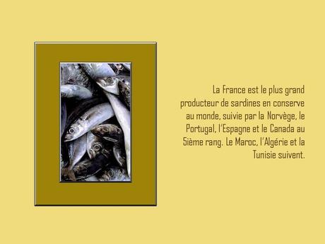 Divers - A la gloire de la Sardine