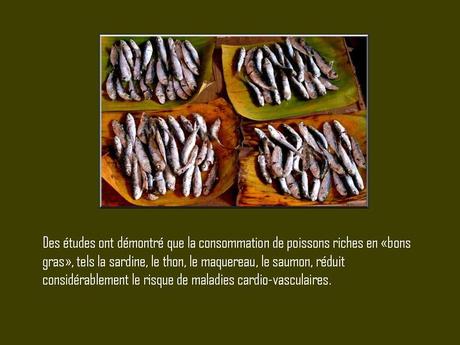 Divers - A la gloire de la Sardine