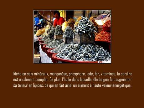 Divers - A la gloire de la Sardine