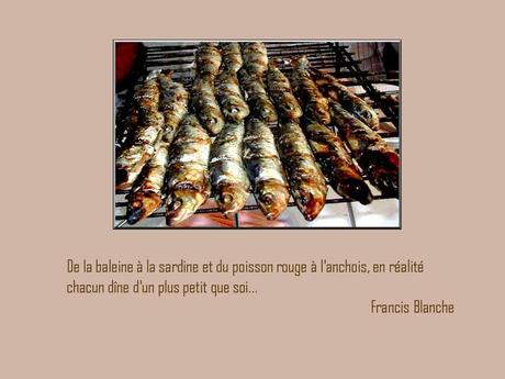 Divers - A la gloire de la Sardine