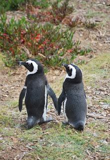 45 ça va et Moman 10 fois