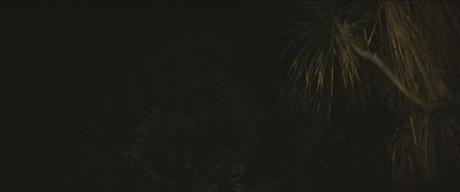 Saint Laurent SELF 03