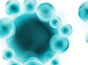 MICROBIOTE INTESTINAL Nouvelles preuves rôle dans santé humaine