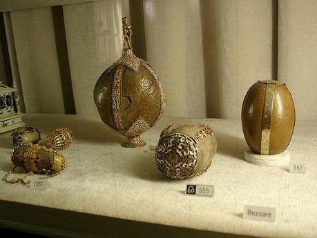 Le bézoard, pierre magique du XVIème siècle (c’est faux)