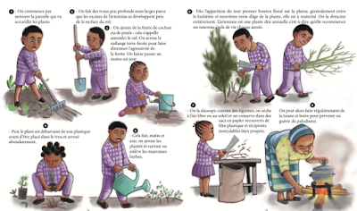 Aider à imprimer un livre pour enfants camerounais sur l'Artemisia, plante anti-malaria