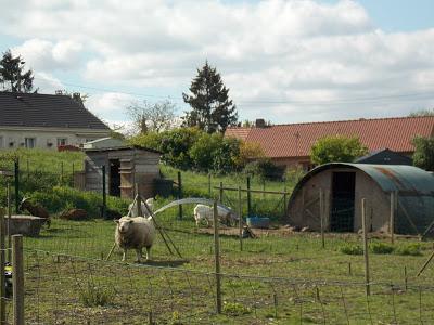 Visite d'une maison autonome dans le nord de la France