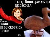 Petit petit Loiseau fait