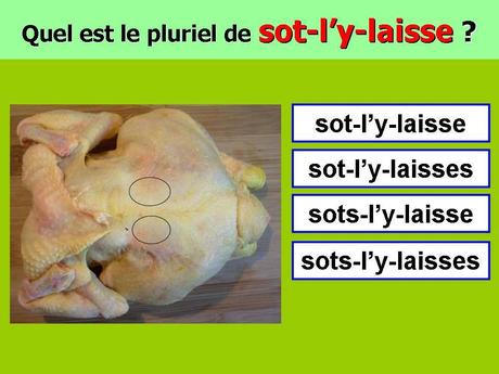 Divers - Le Pluriel c'est facile ..... ?