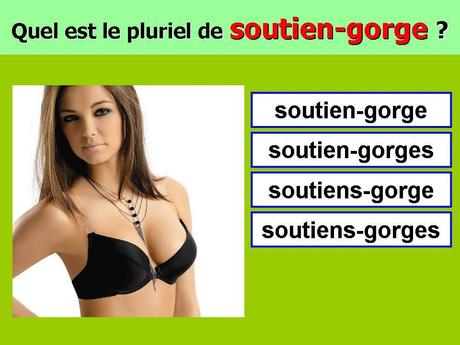 Divers - Le Pluriel c'est facile ..... ?