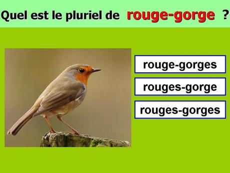 Divers - Le Pluriel c'est facile ..... ?