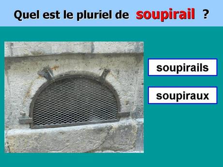 Divers - Le Pluriel c'est facile ..... ?
