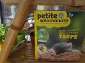 Petite Salamandre Numéro Avril-mai 2019 revues enfants curieux nature Grand chantier chez petite taupe.