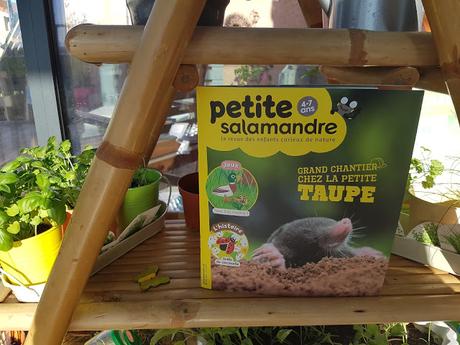 Petite Salamandre Numéro Avril-mai 2019 La revues des enfants curieux de nature : Grand chantier chez la petite taupe.