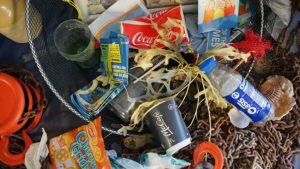 La polémique sur la pollution du plastique dans les océans