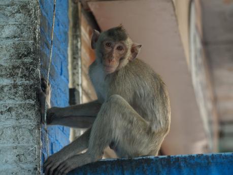 2 heures à Lopburi 2 heures à Lopburi