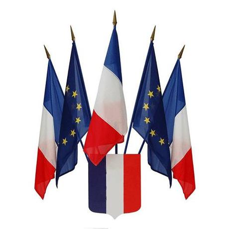 Européennes 2019 (2) : enfin, la campagne commence ! Européennes 2019 (2) : enfin, la campagne commence !