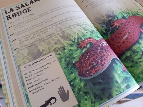 Le livre extraordinaire des reptiles et des amphibiens de Mat Edwards