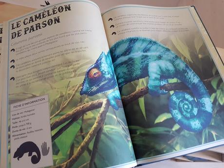 Le livre extraordinaire des reptiles et des amphibiens de Mat Edwards