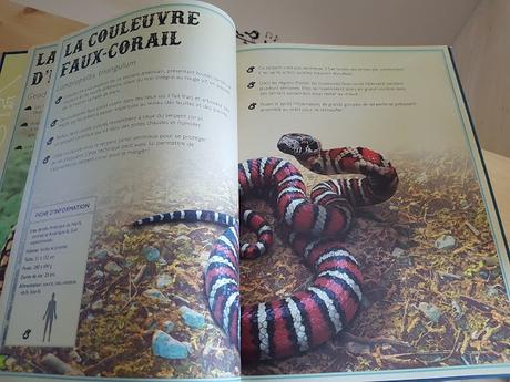 Le livre extraordinaire des reptiles et des amphibiens de Mat Edwards