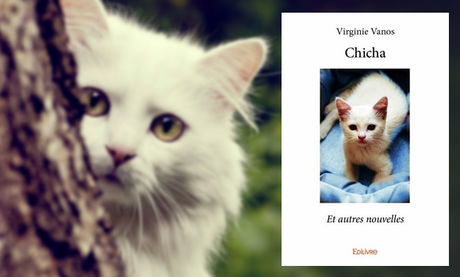 Chicha et autres nouvelles, de Virginie Vanos.